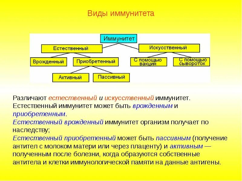 Активный естественно приобретенный иммунитет. Приобретенный иммунитет естественный и искусственный. Естественный врожденный иммунитет. Иммунитет активный и пассивный естественный и искусственный. Активный и пассивный приобретенный иммунитет.