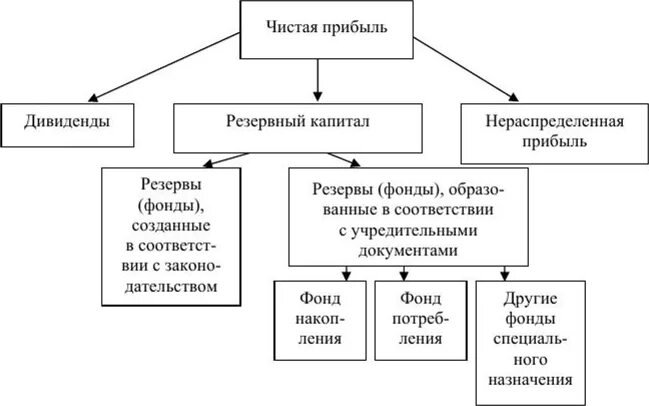 Доход сельскохозяйственной организации. Методы распределения прибыли. Схема распределения чистой прибыли. Фондовый и БЕСФОНДОВЫЙ методы распределения прибыли. Нераспределенная прибыль схема.