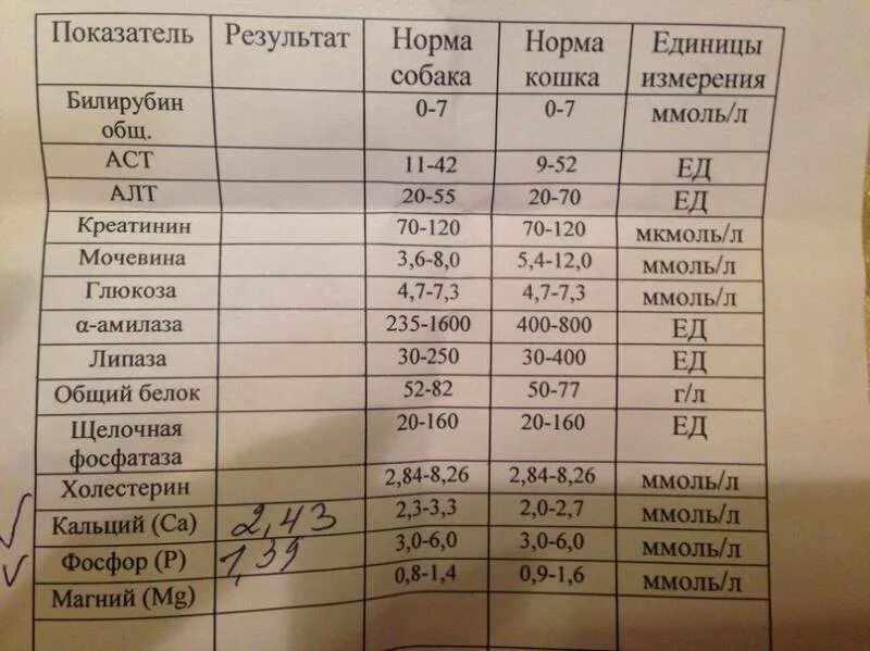 Анализы мужчина 35. Анализ крови алт и АСТ норма для женщин. Показатель алт и АСТ В биохимическом анализе крови. Показатели алт и АСТ норма у мужчин по возрасту таблица. Показатели алт АСТ нормы для детей.