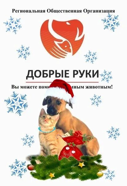 Добрые руки логотип. Вечерний бишкек лого. Ищу добрые руки. Добрые руки лесной. Добрые руки лесной.