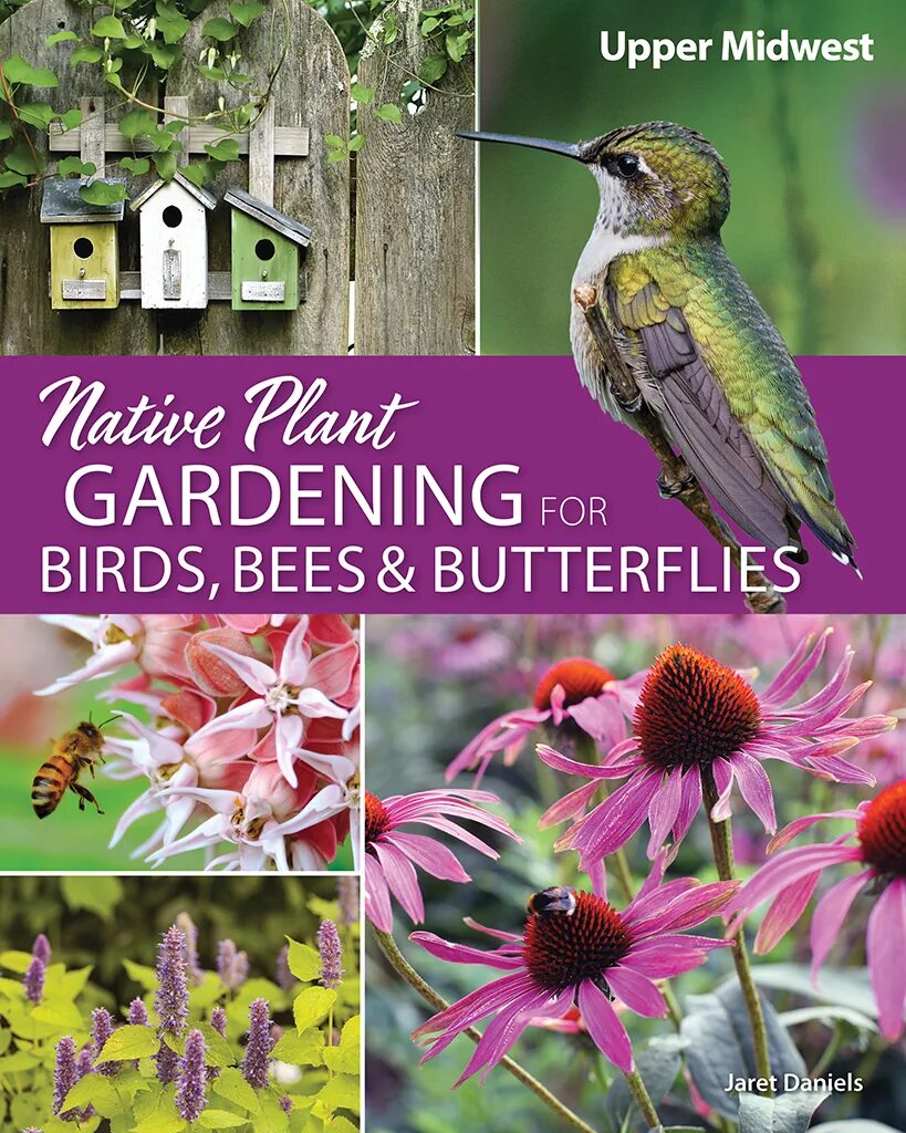Birds and bees. Gardening for the Birds. The Bird and the Bee. What are the Birds and the Bees.