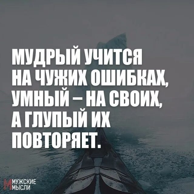 Человек учится на своих ошибках. На ошибках учатся цитаты. Учимся на своих ошибках цитаты. Умный учится на чужих ошибках. Учись на чужих ошибках.