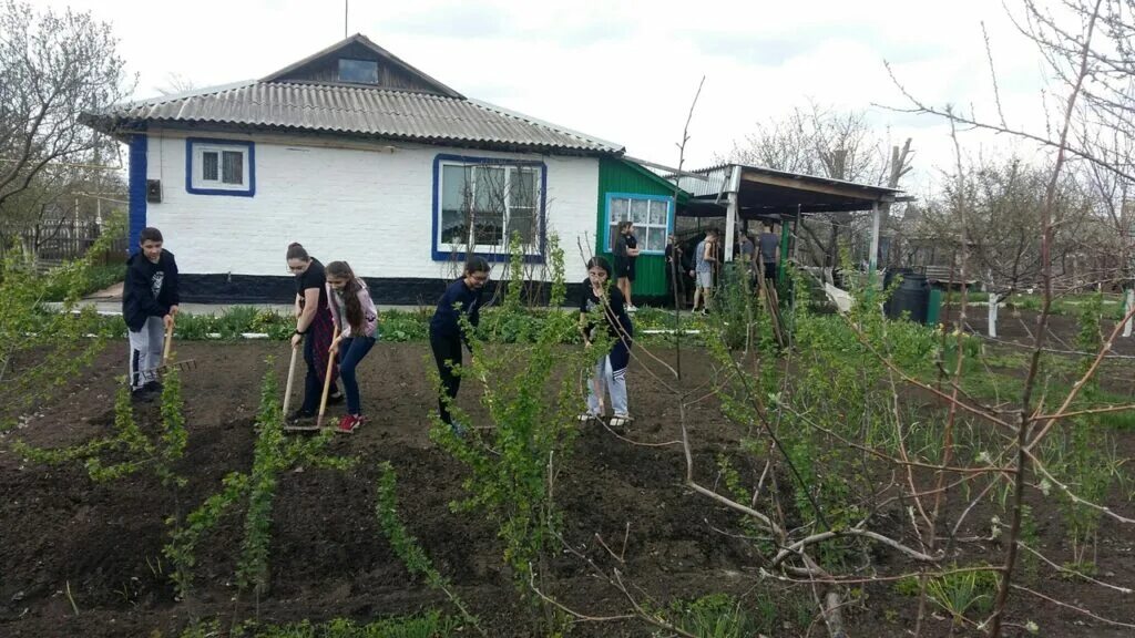 Погода мартыновский район п. Поселок Зеленолугский Мартыновский район. Поселок Зеленолугский Мартыновский район Ростовская область. П Зеленолугский Мартыновский район школа 5. Ростовская область, Мартыновский р-н, пос. Зеленолугский,.