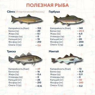 Самые полезные рыбы список