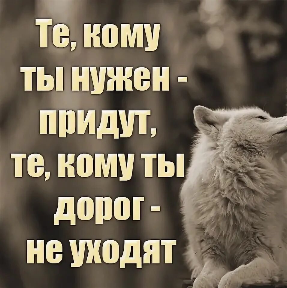 Цитаты кому нужна найдут. Картинка кому нужна позвонит и найдёт. Абонент никому не нужен. Уйти в тишину. Да кому я нужен вообще.