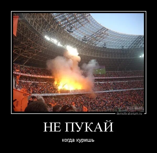 Много пукаю но не какаю