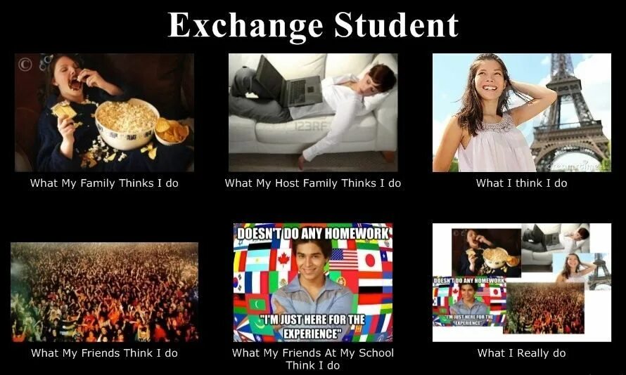 The family thought that. Exchange student. Exchange student игра. Student memes. Student Exchange programs рассказ.