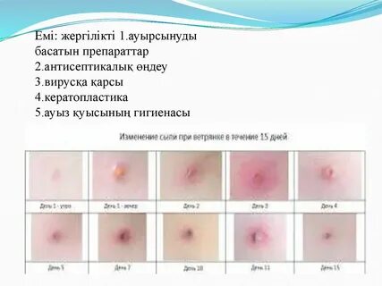 Екі студент несиеге порно алады