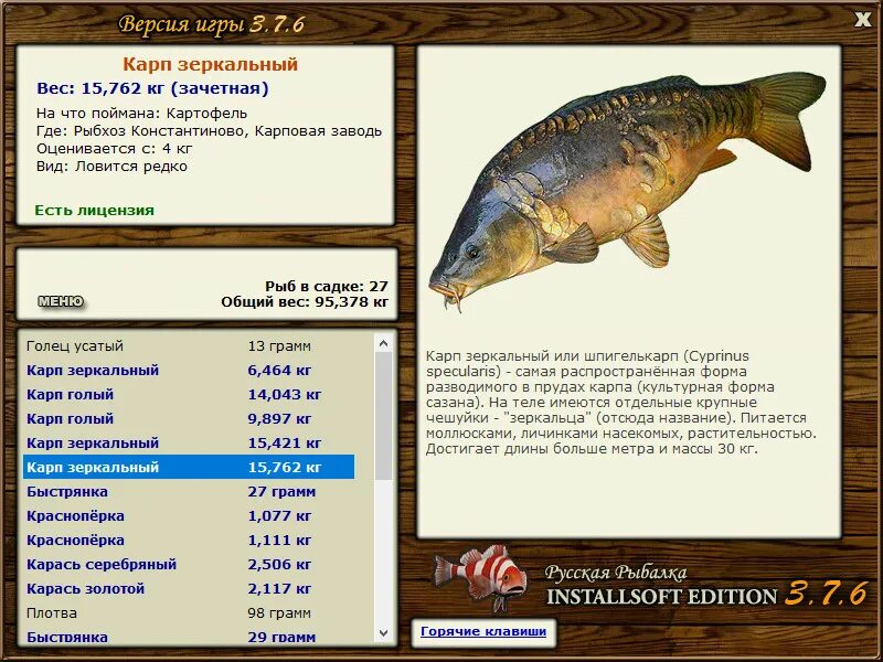 средний вес зеркального карпа. русская рыбалка рыбхоз разрушенный разрушенный пирс. русская рыбалка 3 7 6 рыбхоз константиново карп. рыбхоз константиново. русская рыбалка 3 7 4 рыбхоз константиново голавль.