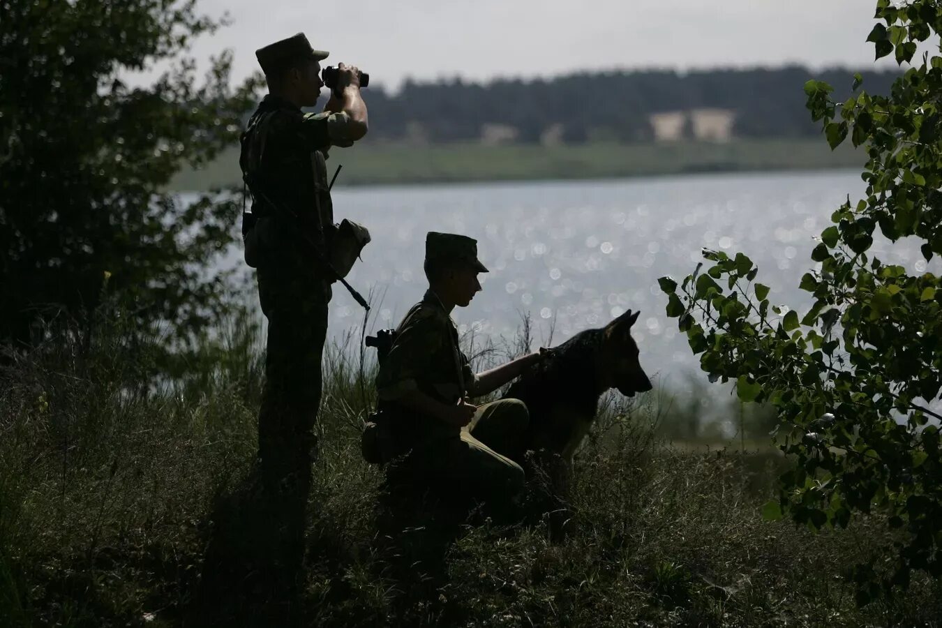 Дозор животные. Пограничные войска. Пограничники России. Пограничник в дозоре. Пограничник на границе.