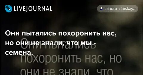 Они хотели похоронить нас