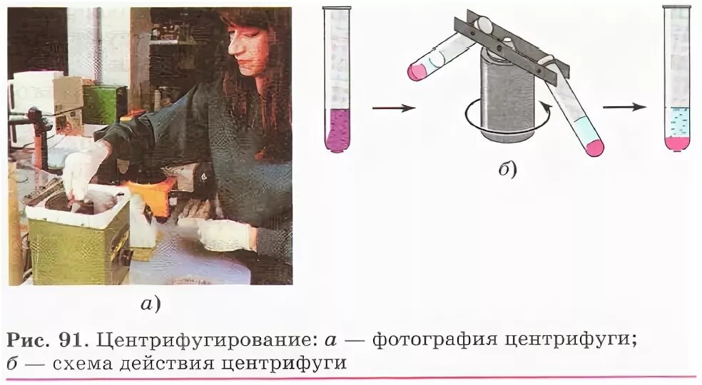 Разделение клетки под действием центробежной. Центрифугирование метод разделения смесей. Центрифугирование схема. Центрифугирование это в химии. Центрифугирование схема химия.