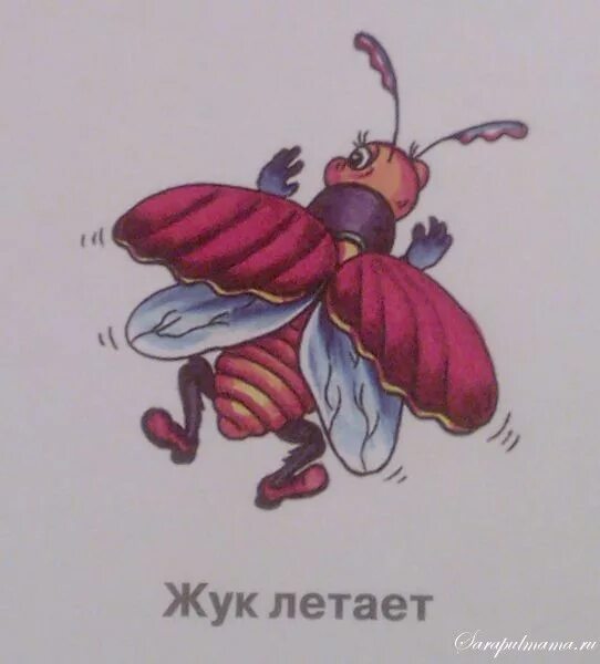 Жуков полечу. Летающие жуки. Майский Жук летает. Летающий Жук рисунок. Изображение майского жука для детей.