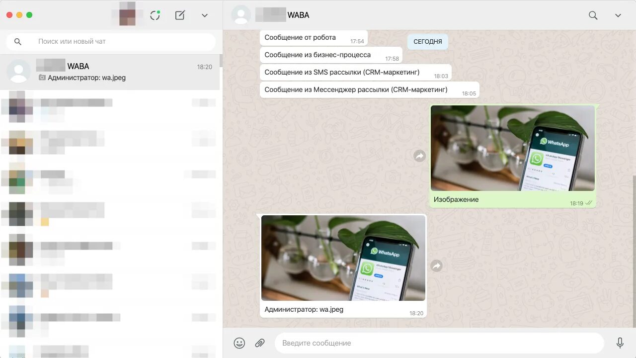 Официальные WHATSAPP Business API. Ватсап бизнес АПИ. WHATSAPP Bizness API. Waba (WHATSAPP Business API). Ватсап бизнес для пк