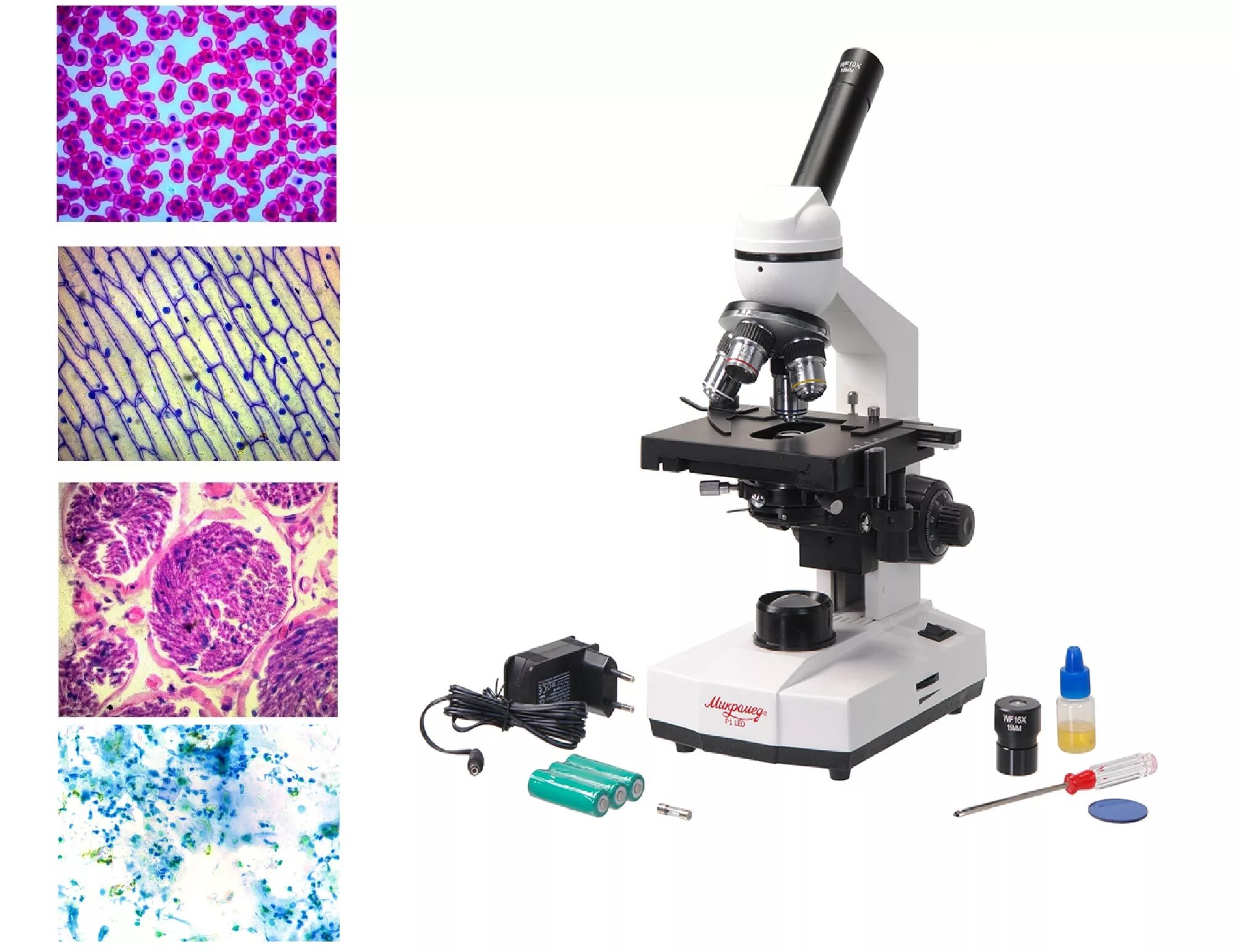 Микромед биологический. Микроскоп Микромед 1. 2.16.11 Микроскоп демонстрационный. Микроскоп Микромед p1 led. Микроскоп лабораторный mt4300l.