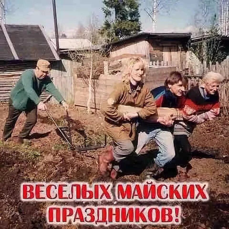 Мир труд работа. Майские праздники приколы. мир труд май огород. с майскими праздниками прикольные. шутки про майские праздники.