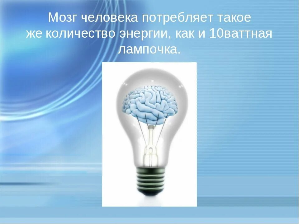 Сколько потребляет мозг. Мозг вырабатывает электричество. Интересные факты об энергетике. Мозг расходует энергии в сутки. Потребление энергии мозгом.