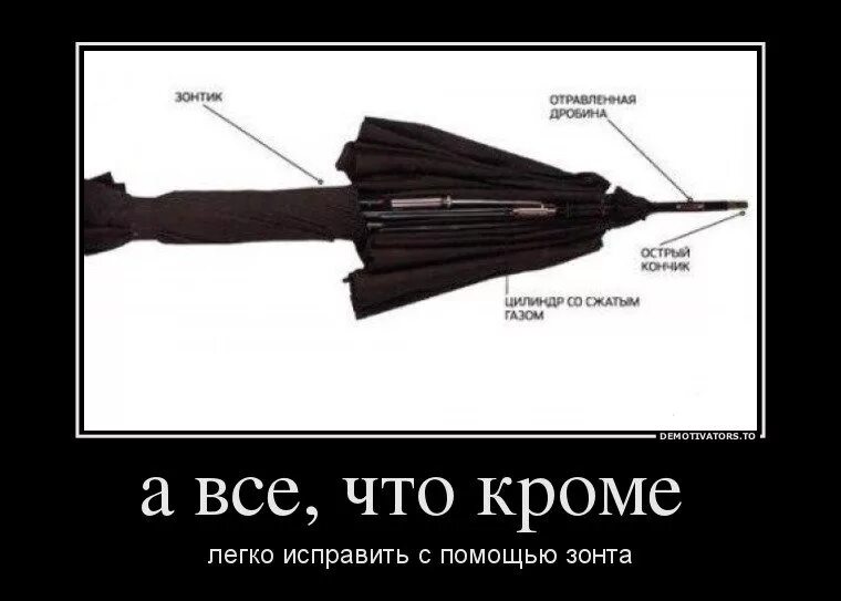 Что такое демотиватор. Зонт демотиватор. оригинальные демотиваторы. острые приколы. демотиватор длинный.