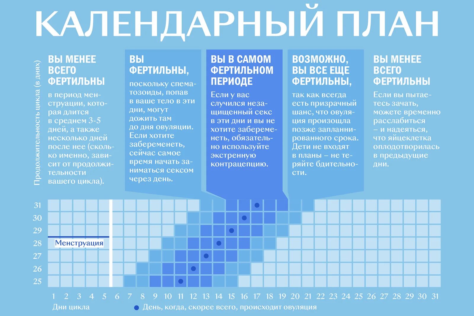 Возможно ли забеременеть во время. Дни для зачатия ребенка. как можно забеременеть. когда можно забеременеть. когда можно забеременеть в какие дни.