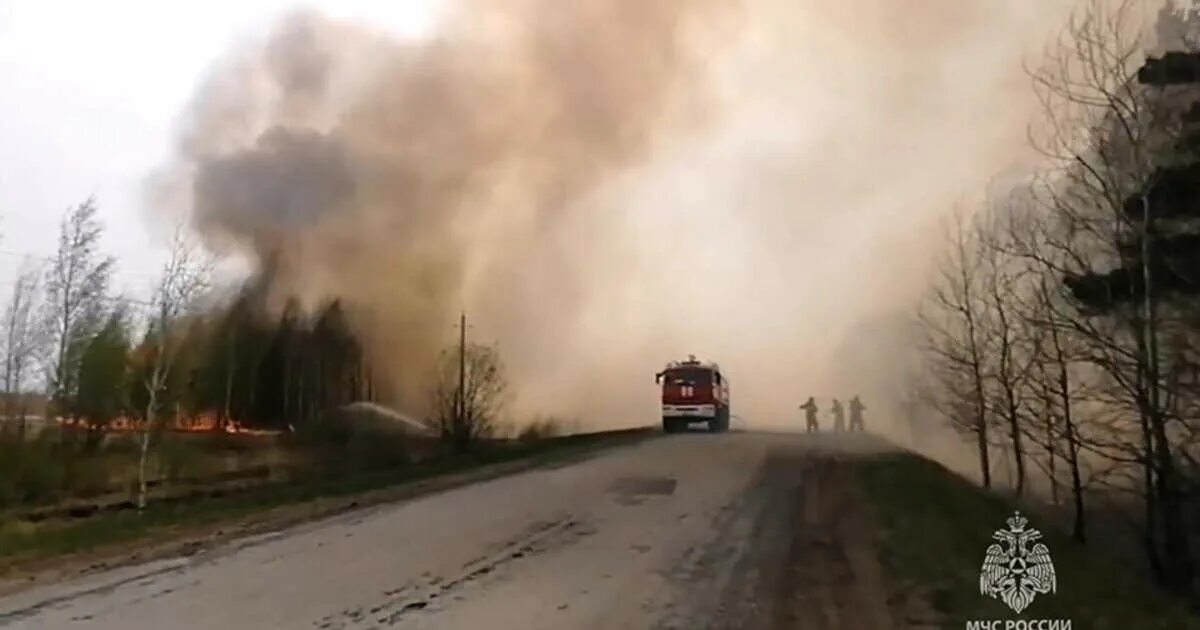 Пожар. Пожары на Урале. Пожар в лесу. Лесные пожары в Курганской области 2023.