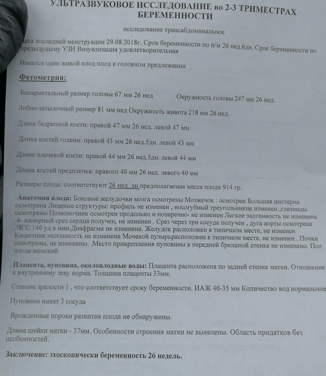 Узи отзывы спб. УЗИ 6-7 недель беременности заключение. УЗИ на 5 неделе беременности заключения. Заключение УЗИ беременности 2-3 недели. УЗИ 6 недель беременности заключение.