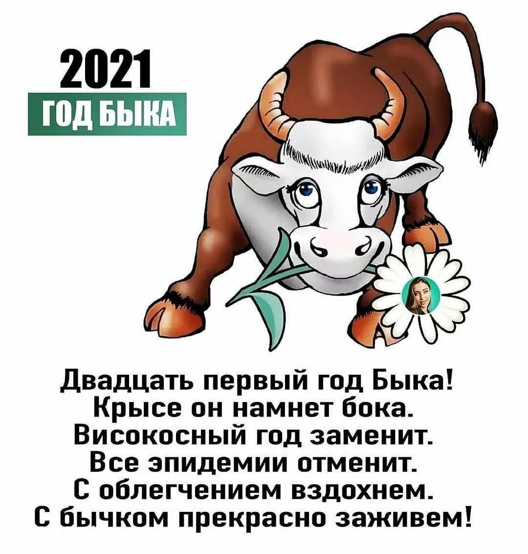 2024 год для года быка. Год быка 2021. Открытки на новый год 2021 год быка. Пожелания про быка. Символ уходящего года.