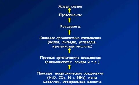 Возникновение жизни на земле 9 класс