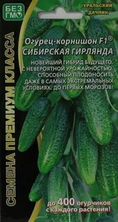 Сорт огурцов сибирская гирлянда отзывы
