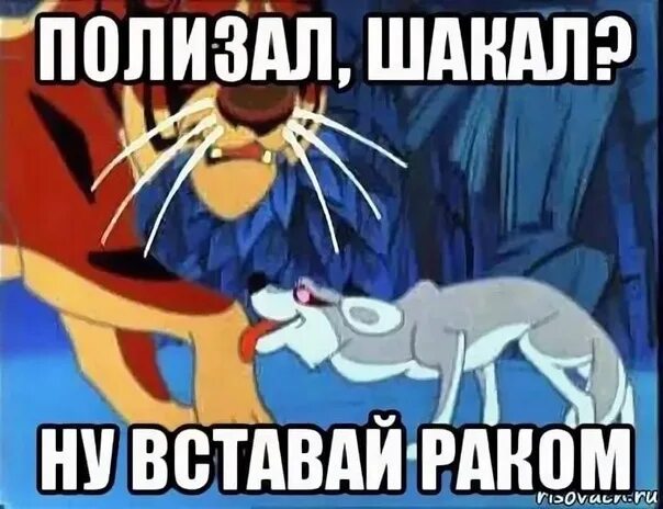 Полижу москва. Маугли Шакал табаки. Шакал из Маугли прикол. Шерхан и табаки Мем.