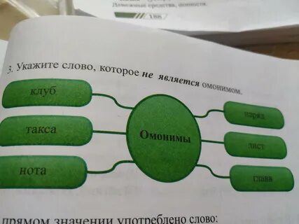 Это разновидность матраса является омонимом