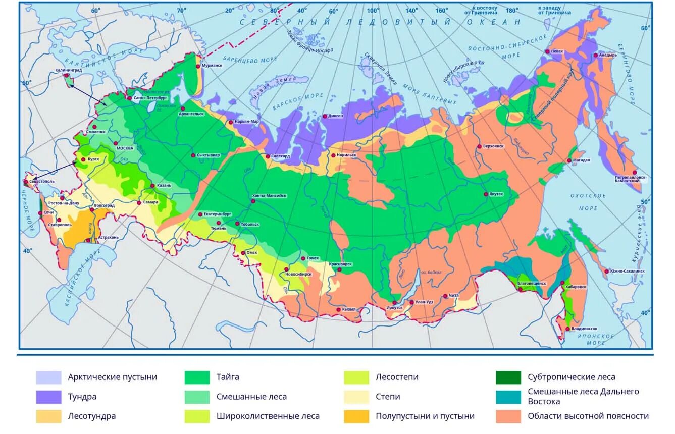 Природные зоны отмеченные на карте. Карта природных зон России Лесные зоны. Зона широколиственных лесов на карте России. Тайга на карте России природных зон. Смешанные и широколиственные леса на карте России.
