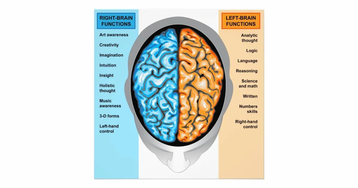 Brain 72. Полушария мозга. Левое полушарие головного мозга. Левое и правое полушарие мозга. Люди с правым полушарием мозга.