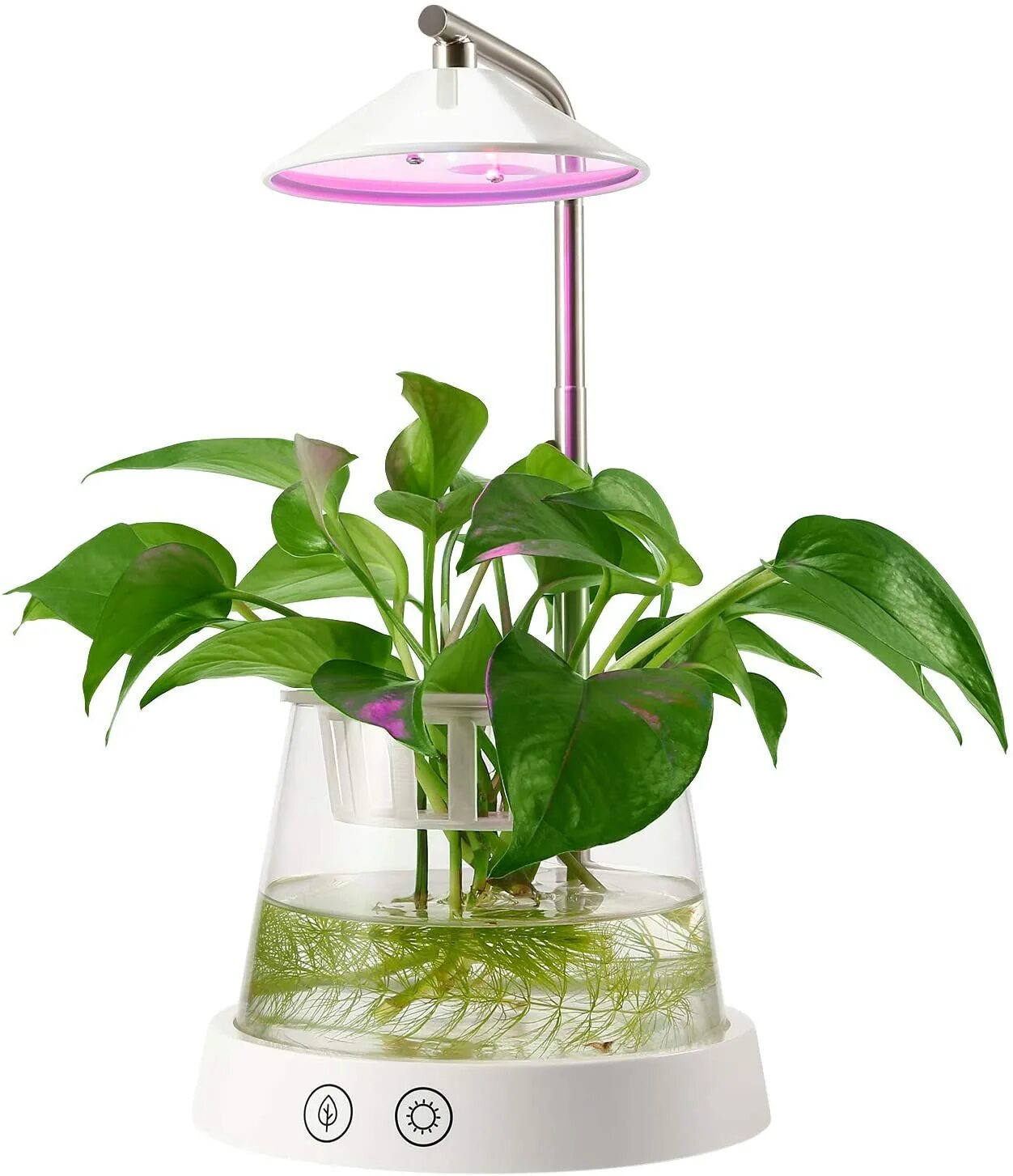 Plants control. Plant grow Light. Grow Light Garden. Garden led Desk Lamp. Леруа Мерлен Смоленск: подставка для фитолампы.
