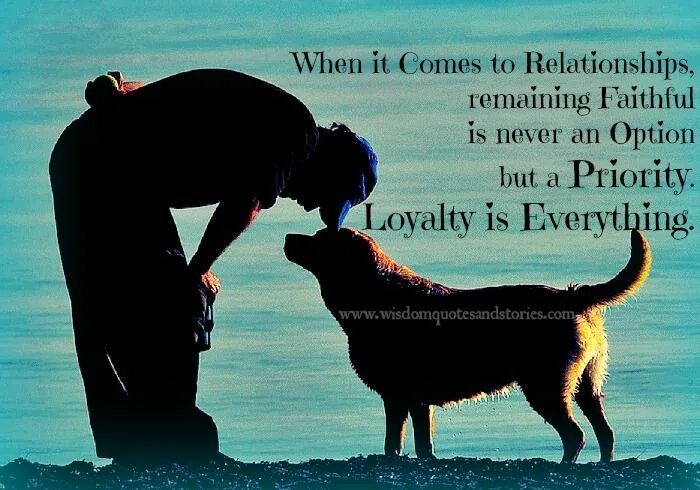 When it come s to you. Quotes about Loyalty. Friendship and Loyalty. Loyalty is everything. When it comes.