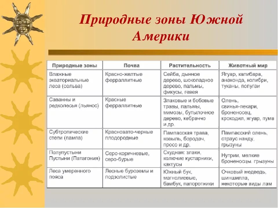 Таблица сравнение природных зон. Таблица природные зоны Южной Америки 7 класс география таблица. Таблица по географии 7 класс природные зоны Южной Америки. Таблица природные зоны Южной Америки местное название. Природные зоны Южной Америки таблица 7 класс география.