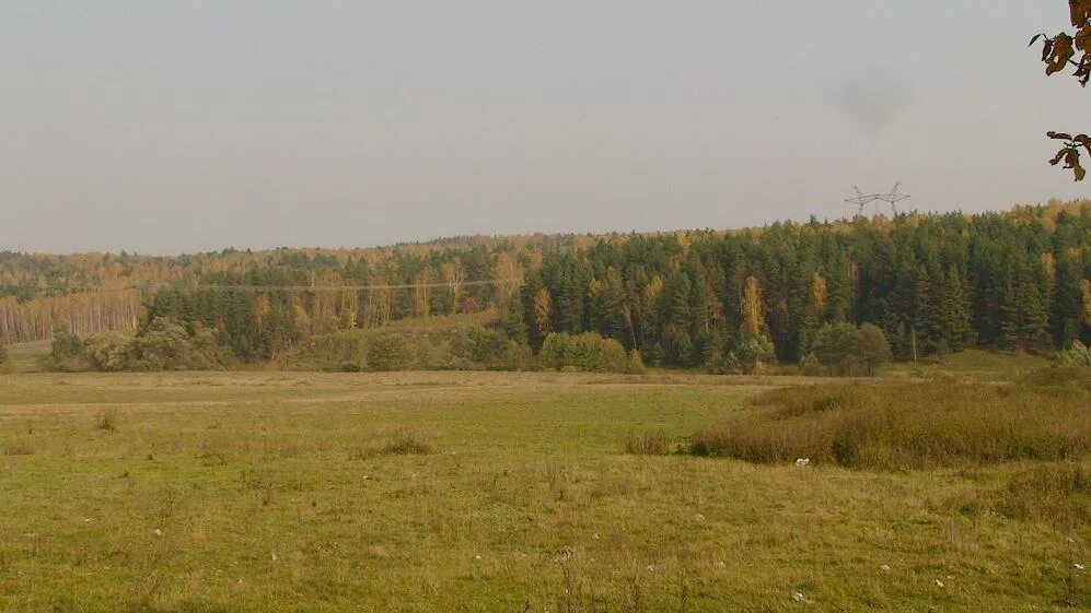 прогноз погоды на неделю в алексине