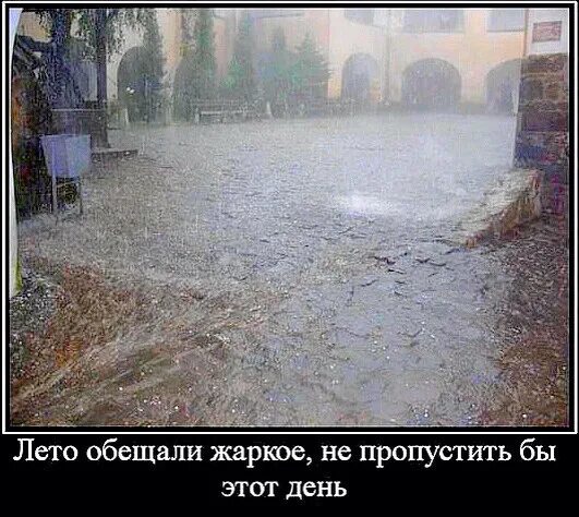 Ввиду прошедших дождей урожай обещает быть хорошим