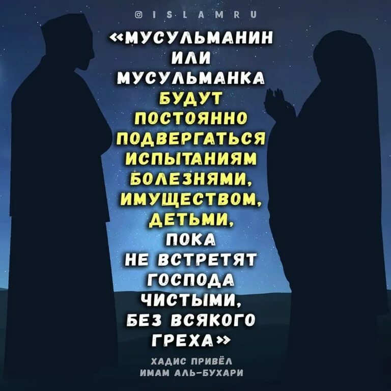 Какие хадисы достоверные. Высказывания пророка. Какие хадисы достоверные. Хадисы. Какие хадисы достоверные.