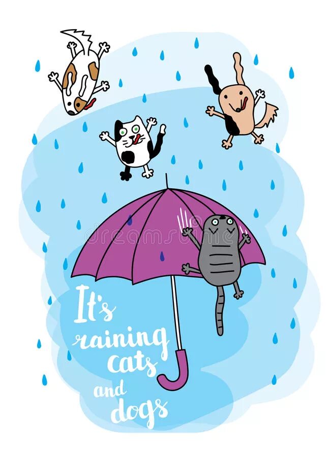 Rain Cats and Dogs идиома. Зонтик raining Cats and Dogs. Идиомы it's raining Cats and Dogs. Raining Cats and Dogs идиома.