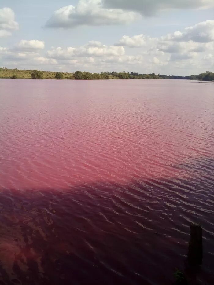 Почему вода тула. Красные озера Тульская область Узловский район. Кондуки красное озеро красное. Товарковское водохранилище Тульская область. Красные озера Киреевский район.