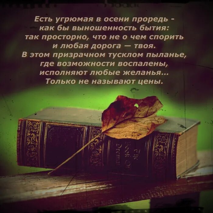 книги умирали стих