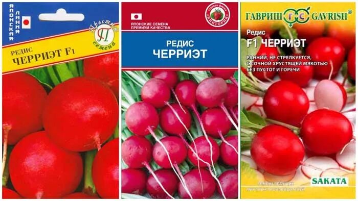 Редис селеста описание сорта отзывы. Черриэт f1. редис черриэт. сорт редиса черриэт. семена редис черриэт f1.