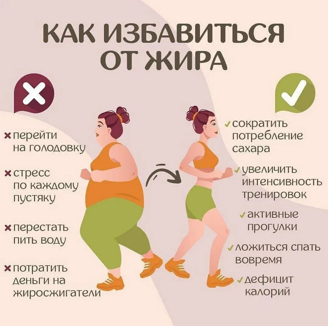Не до жиру быть бы живу значение