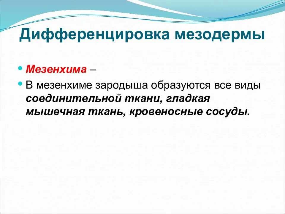 Соединительная ткань из мезодермы. Дифференцировка мезодермы. мезенхима и мезодерма. мезодерма и мезенхима отличия. мезодерма и мезенхима одно и тоже.