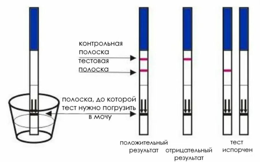 Правила пользования тестом. Тест на беременность как пользоваться тестом. Как правильно пользоваться тест полоской. Тест полоска как пользоваться. Как правильно использовать ТЕТСК.