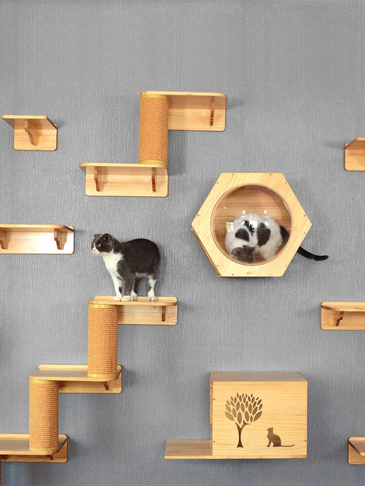 Купить кошку на стене. Домик для кошек. Настенный комплекс для кошек. Кошачий домик настенный. Лазалки для кошек.