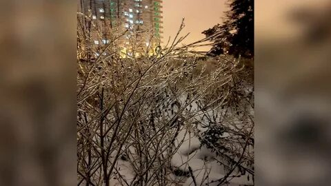 Ледяной дождь в воронеже сегодня
