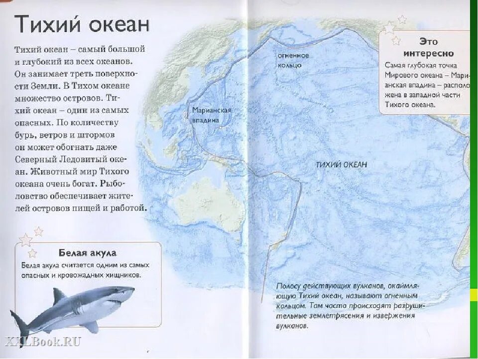 Названия океанов на земле список. Сколько океанов. Ширина Тихого океана. Тихий океан самый большой и глубокий. Книжки про материки и океаны.