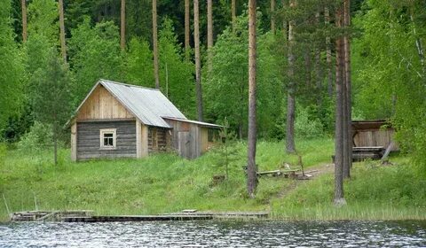 Гостиница морошка каргополь