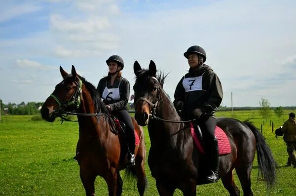 беговые кроссы. пробеги 2012. Ascot horse racing. ипподром в ропше. конные пробеги.